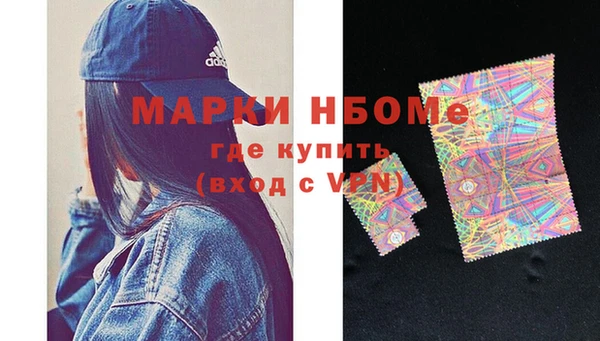 хмурый Няндома