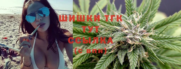 хмурый Няндома