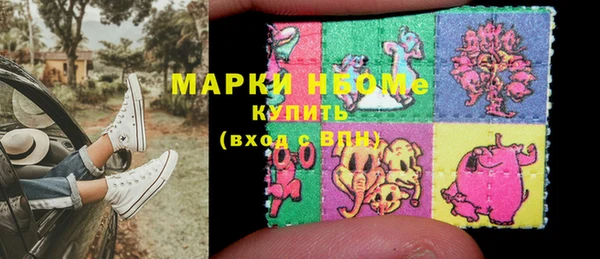 хмурый Няндома