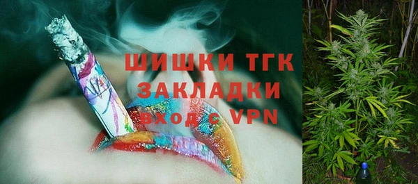 хмурый Няндома